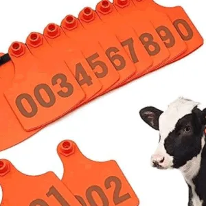COW EAR TAGS