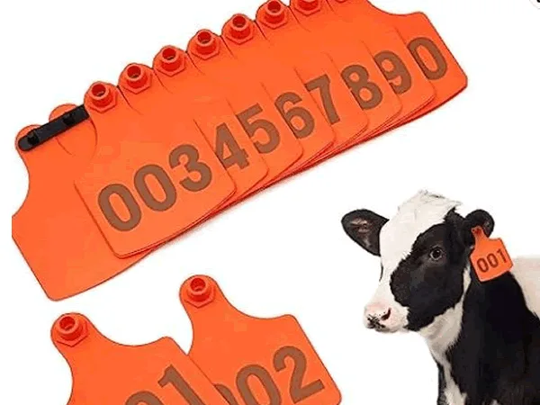 COW EAR TAGS
