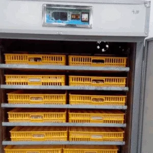 1056 EGG AUTOMATIC INCUBATOR
