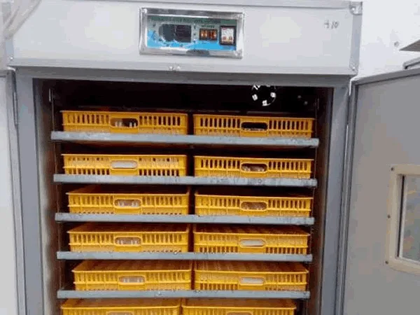 1056 EGG AUTOMATIC INCUBATOR