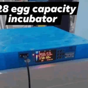128 EGG AUTOMATIC INCUBATOR