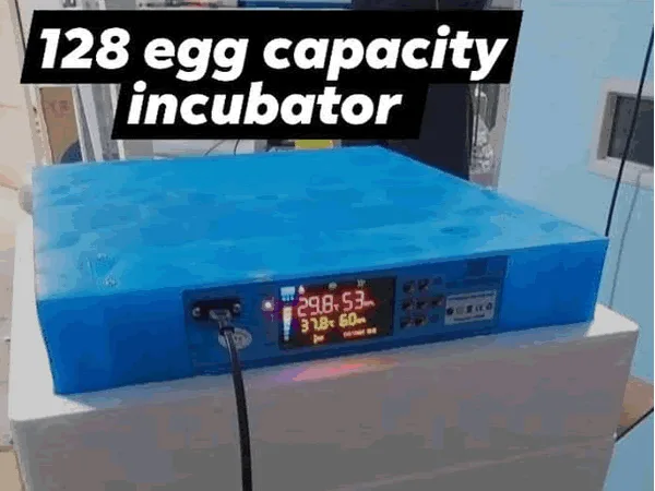 128 EGG AUTOMATIC INCUBATOR