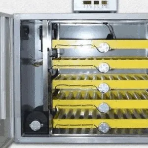 300 EGG AUTOMATIC INCUBATOR