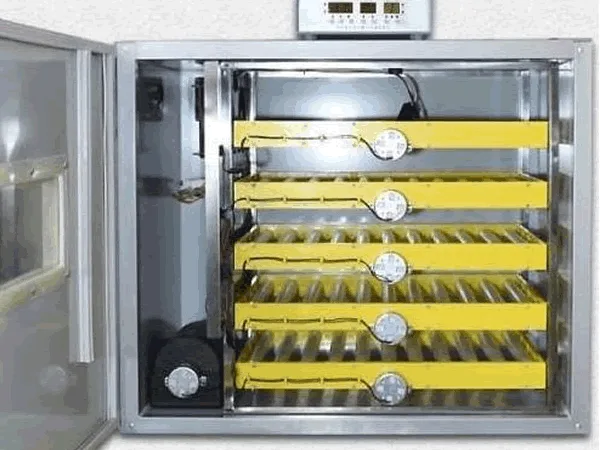 300 EGG AUTOMATIC INCUBATOR
