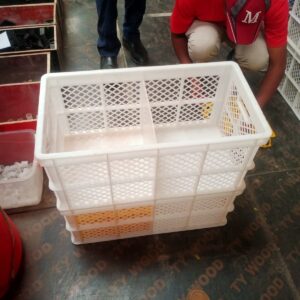 egg transportation crates for sale