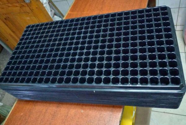 propagation seedling trays