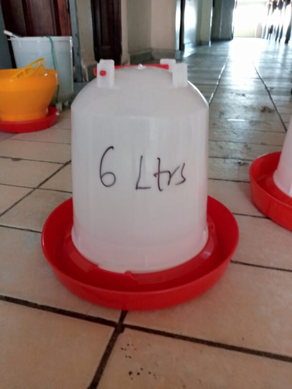 6 ltrs chicken drinker