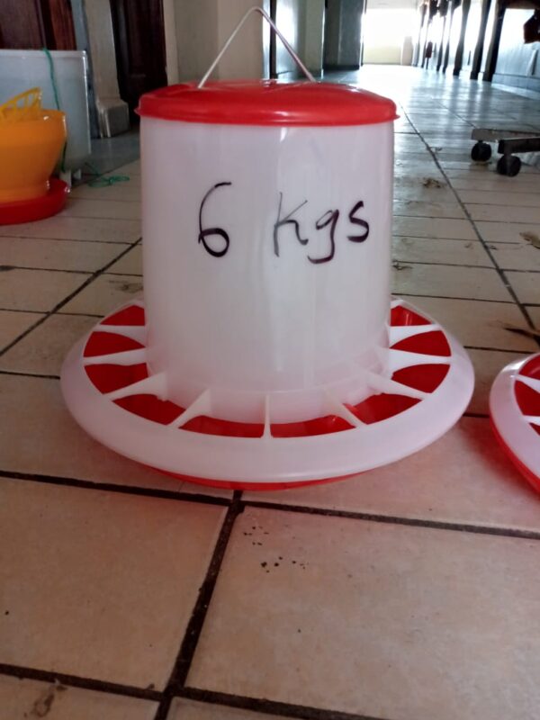 6kgs chicken feeder