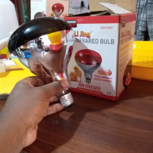 Infrared Heat bulbs