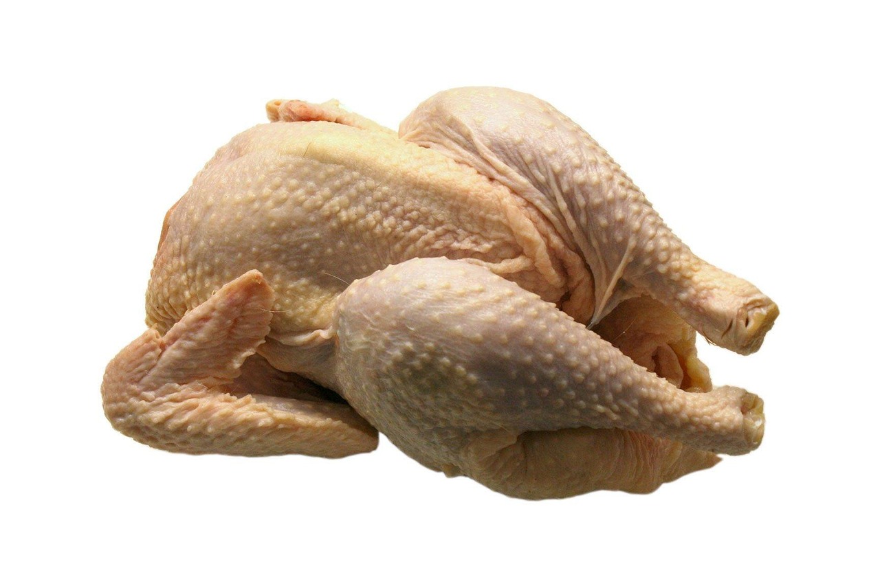 Broiler chicken farming Kenya