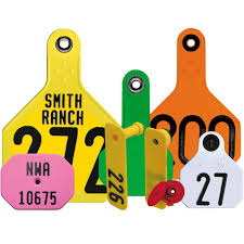 Customized Ear Tags in Keny