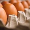 sell eggs local market Kenya
