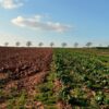 register farm business Kenya