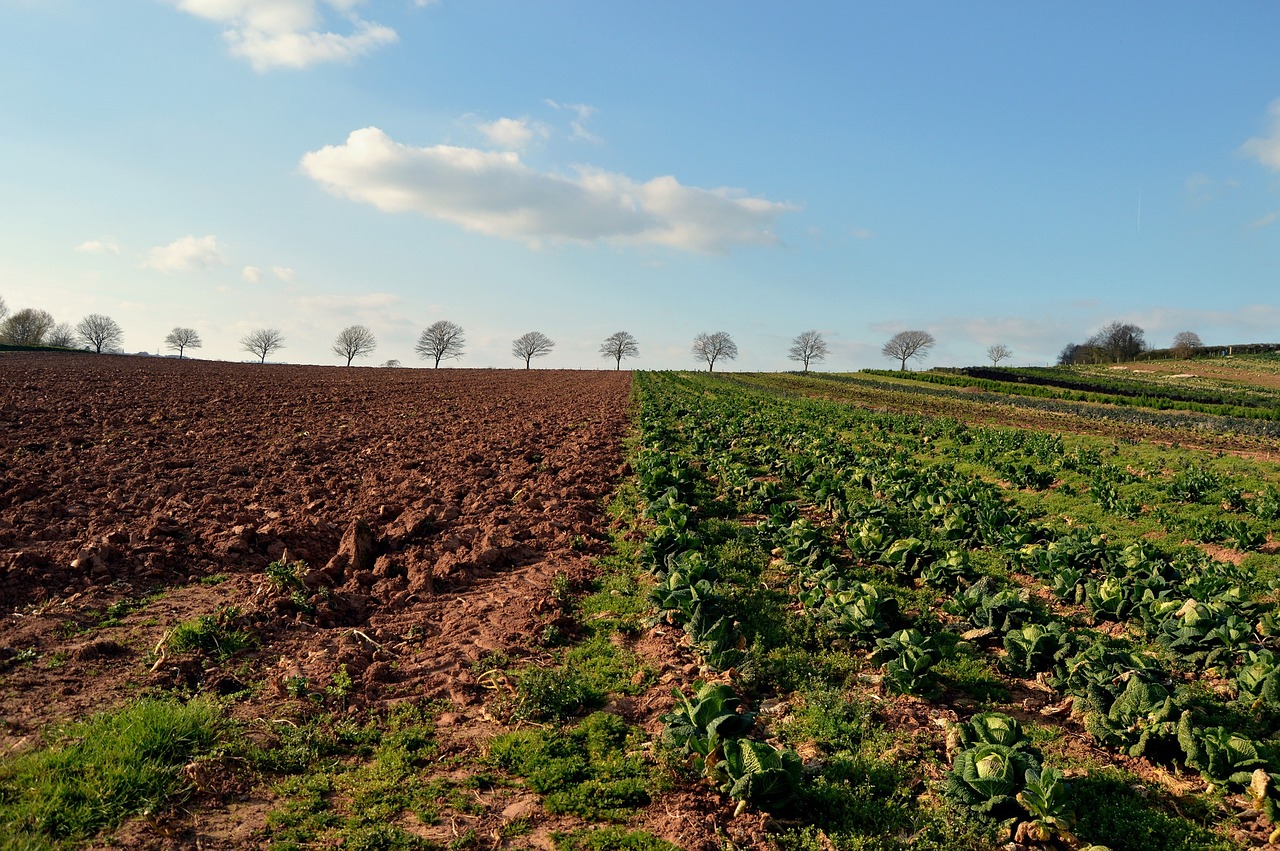 register farm business Kenya