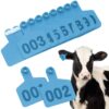 how to use ear tags and record keeping for cattle Kenya