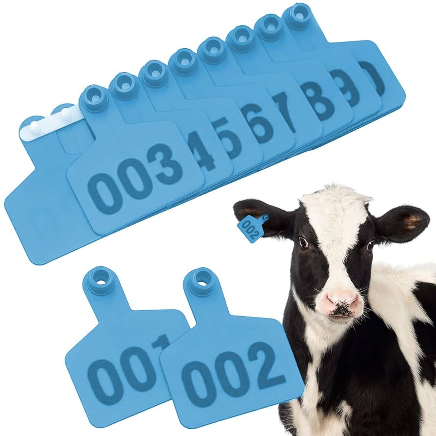 how to use ear tags and record keeping for cattle Kenya