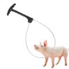 How to use pig restrainers safely in Kenya