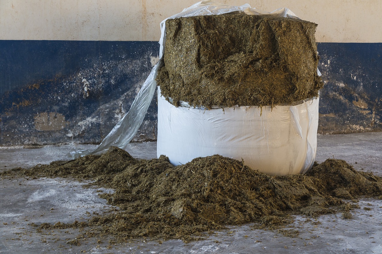 How to Choose Silage Bags for Your Farm in Kenya