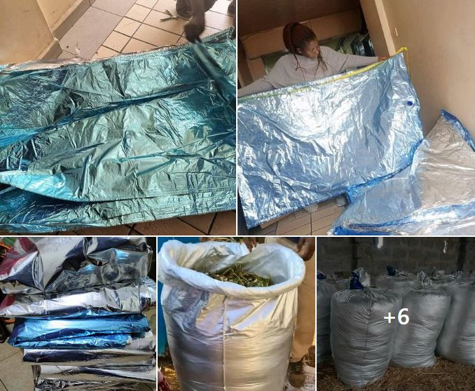 Silage bags for fodder preservation in Kiambu County – Mkulima