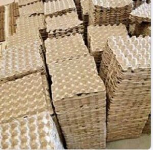 farming
Paper egg trays in Kenya