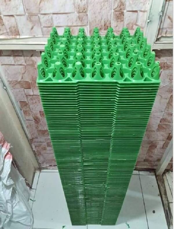 egg trays for poultry farmers in wajir