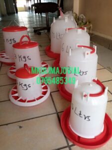 Chicks feeding from clean feeders in Kiambu County