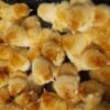 Day-old chicks in a properly prepared poultry house in Kenya