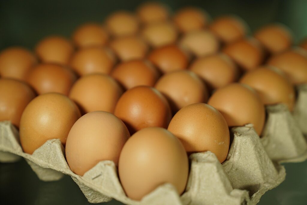 How to Choose the Right Egg Trays for Poultry Farming